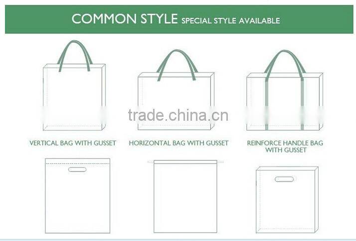 Promotion Cutom Color Printing Paper Gift Bag