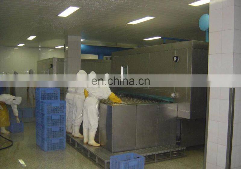 Automatic small IQF tunnel freezer machine auto small scale blast freezing machinery cheap price for sale