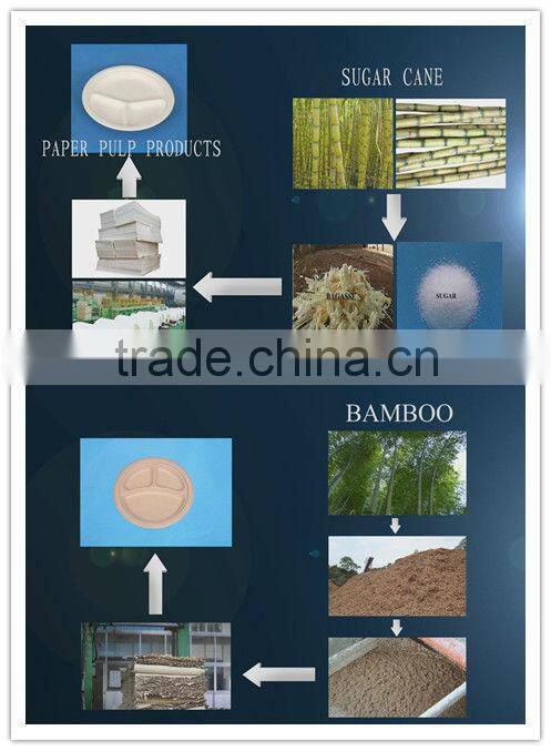 100% Biodegradable Microwavable 10" 3-Compartment Fast food Plate