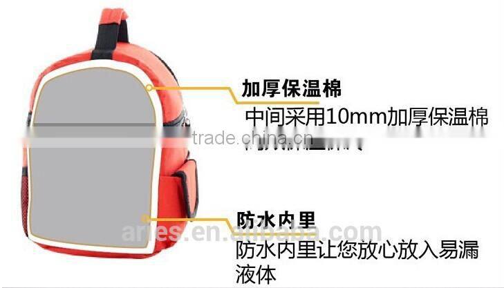 Outdoor Insulated Picnic Cooler Box Tote Bag Camping Ice Box Lunch Bag Ice Pack