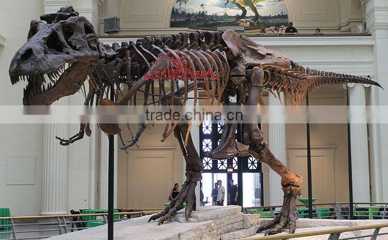 Artificial dinosaur Skeleton Fossil for Museum