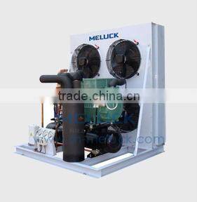 1bitzer compressor cold room