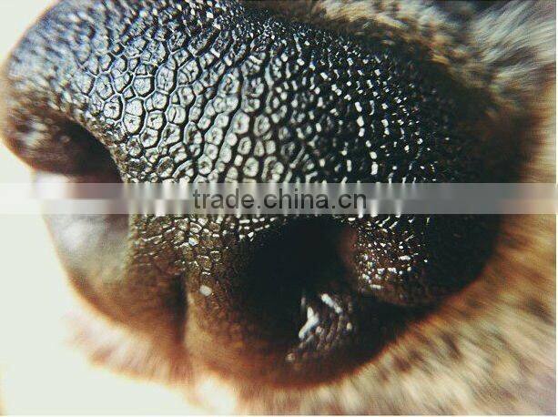 Universal Circle Clip 0.67X wide angel+ macro lens for mobile phone