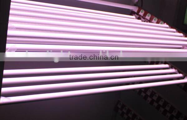 2014 new hot sale led xxx animal video tube 18w