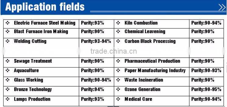 PSA Oxygen Generator by China Professional Supplier