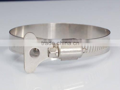 316Lss American Type Hose Clamp(12mm)