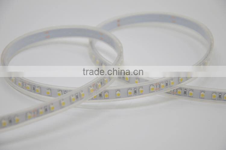 IP65 waterproof for outdoor 60LEDs/Meter 3528 230 led/m strip