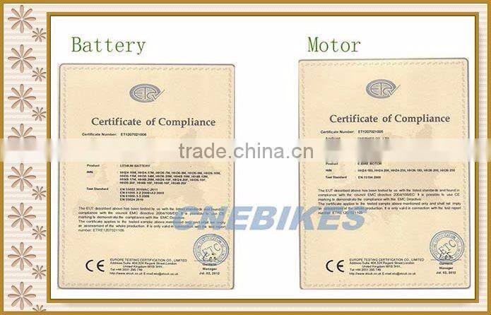 Bafang BBS03/Bbshd 48V1000W E Bike Kit with C965 displayer