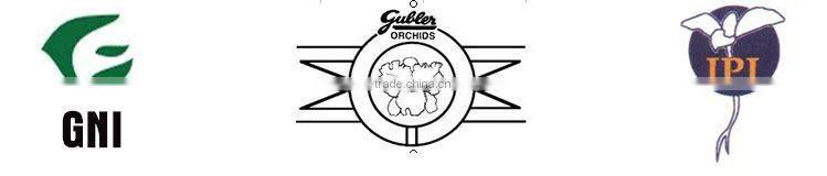 hottest christmas gift