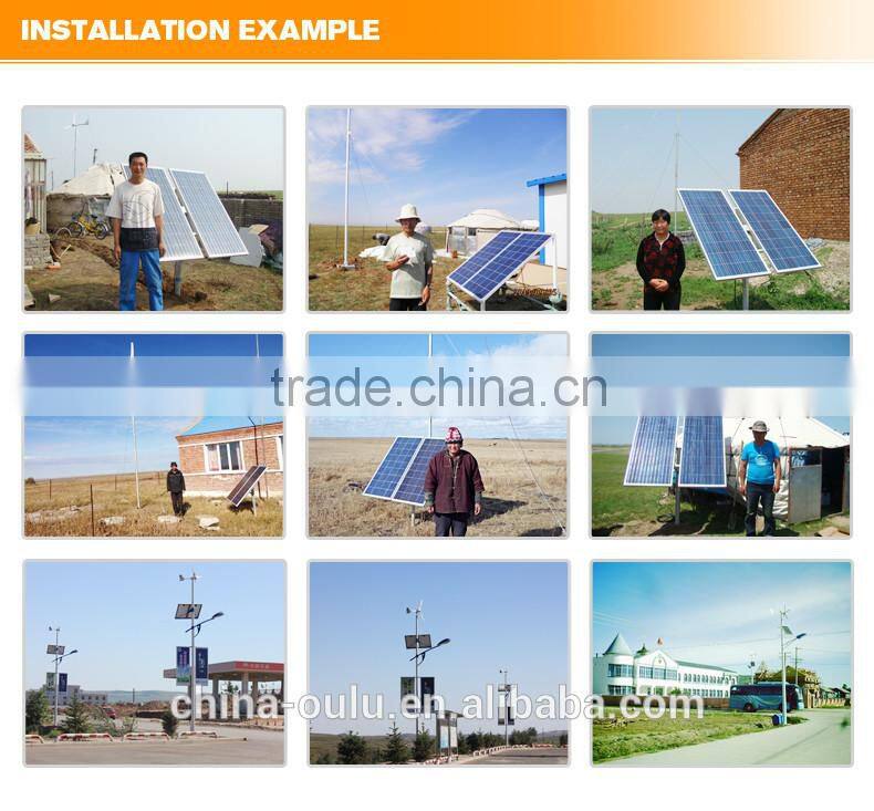 hot sale with best quality chinese made 12v mini wind turbine