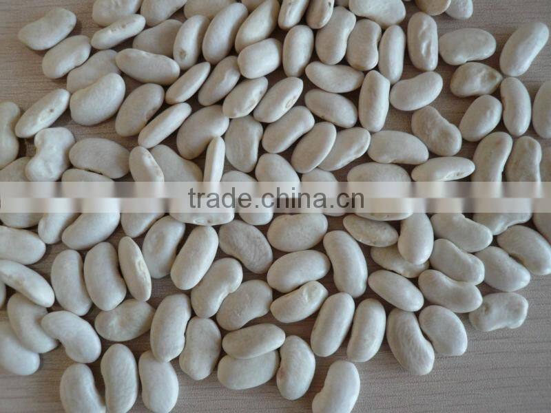2014 Chinese white kidney bean with cheap price