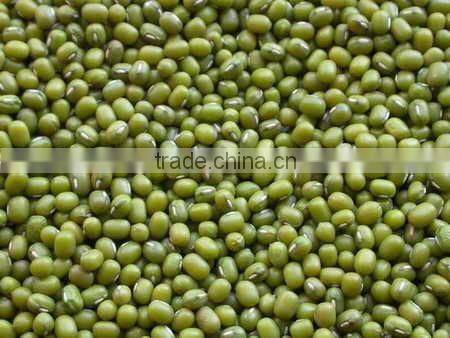 GREEN MUNG BEAN(+84948425455 VIBER, WHATSAPP/SKYPE: VISIMEX05)