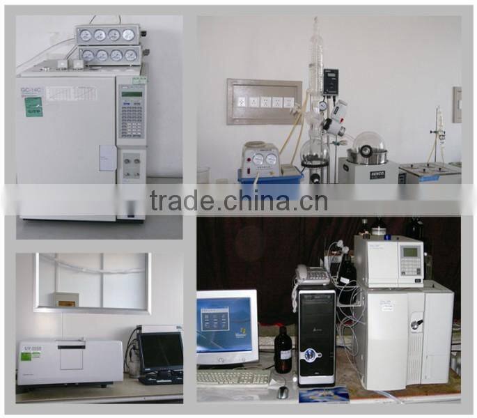 giant knotweed root extract powder/polygonum cuspidatum root extract powder/polygonum cuspidatum root powder