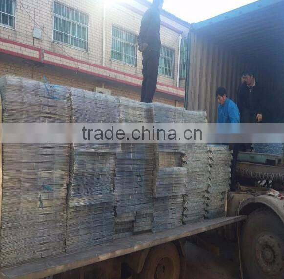 chicken cages poultry farm