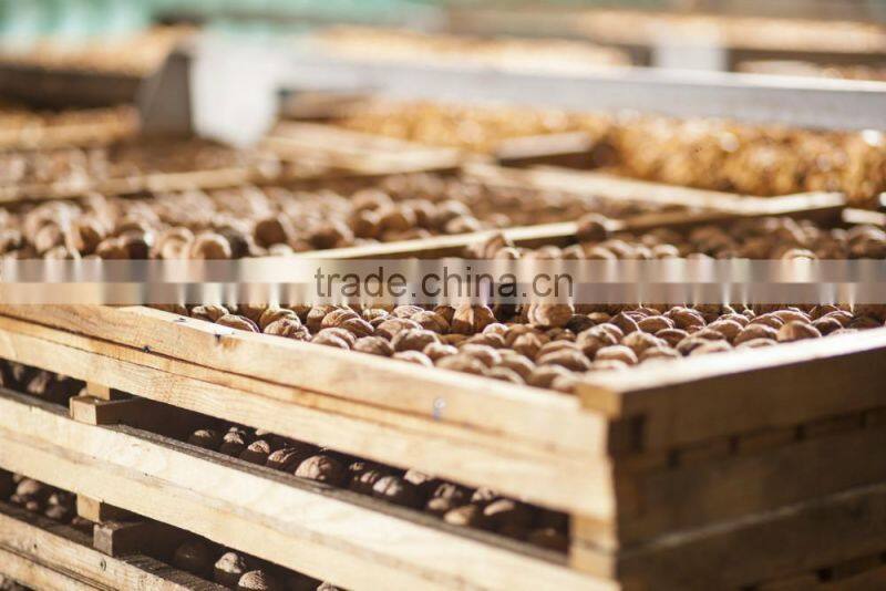 Walnut kernel multiple layer stainless steel conveyor dryer