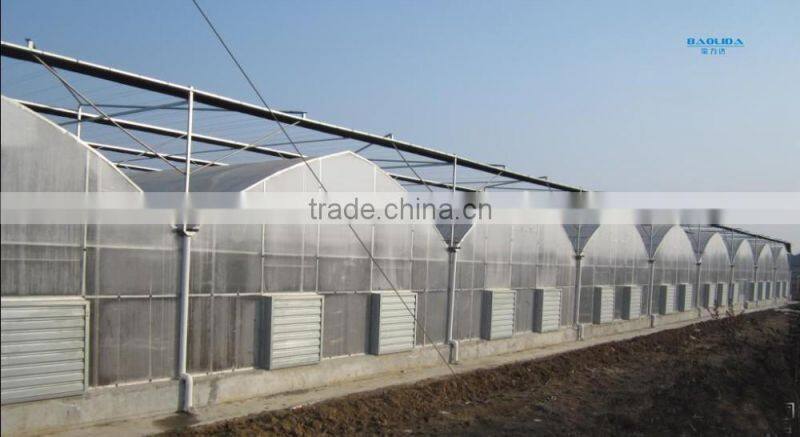 Poly Tunnel Greenhouse With Side Ventilation