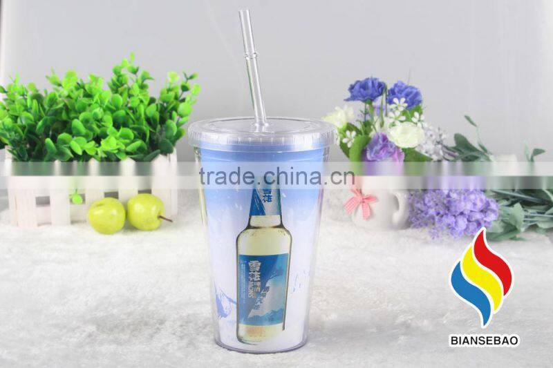 Double Wall Plastic Acrylic Paper Insert Tumbler With Straw