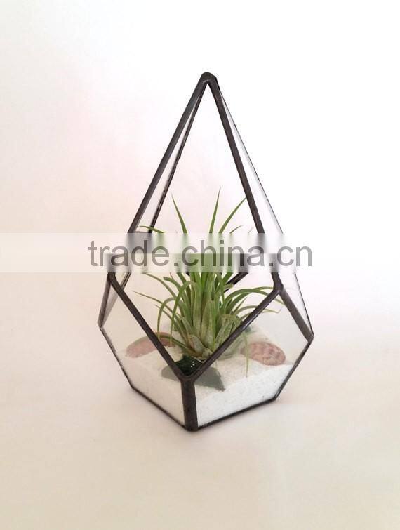 Kure Beach Sea Shells Black Metal Pyramid Ionantha Air Plant Glass Terrarium