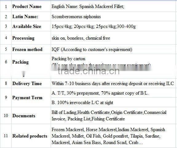 Frozen Spanish Mackerel Fillet