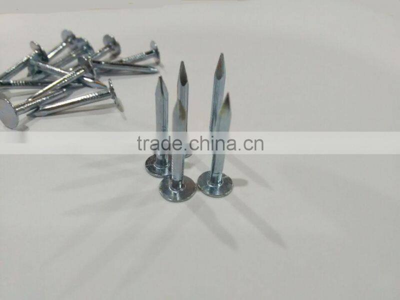 factory price big flat head roofing nails coil roofing nails galvanized clout nails