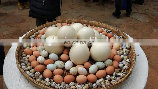 Factory Price Automatic Computer Control Chicken Incubator Hatcher Machine