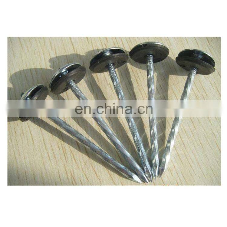 umbrella head galvanized roofing nails