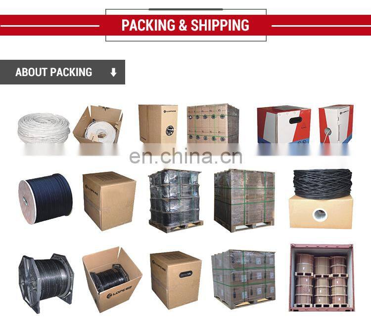 Category 6A Ethernet Cable