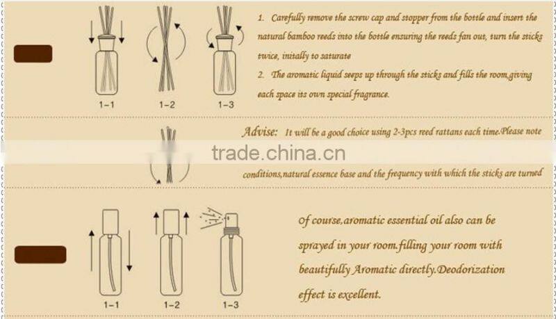 100ml ceramic aroma diffuser/aroma reed diffuser /home fragrance diffuser