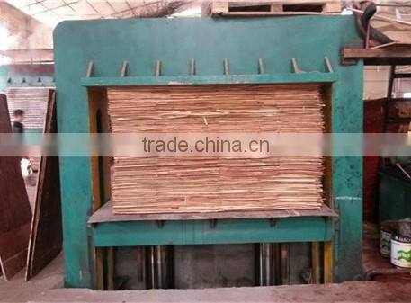 Woodworking Hydraulic cold press machine