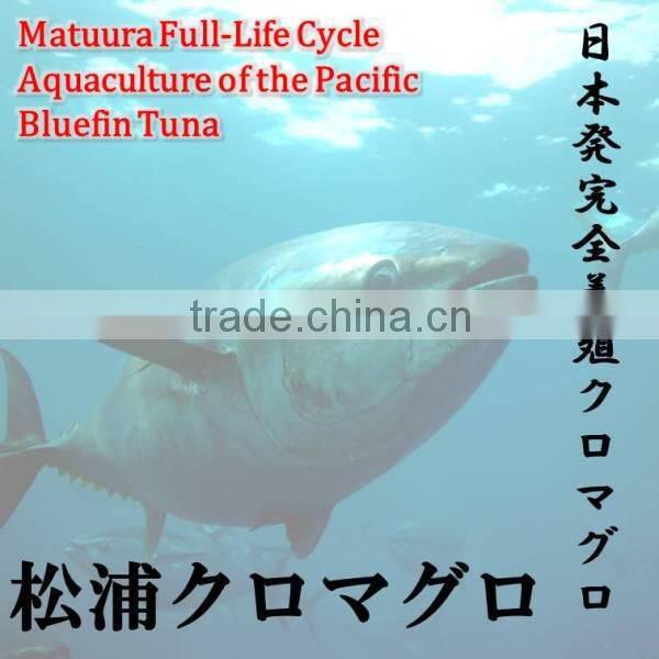 It would be very delicious and make a dried fish in Matuura bluefin tuna.