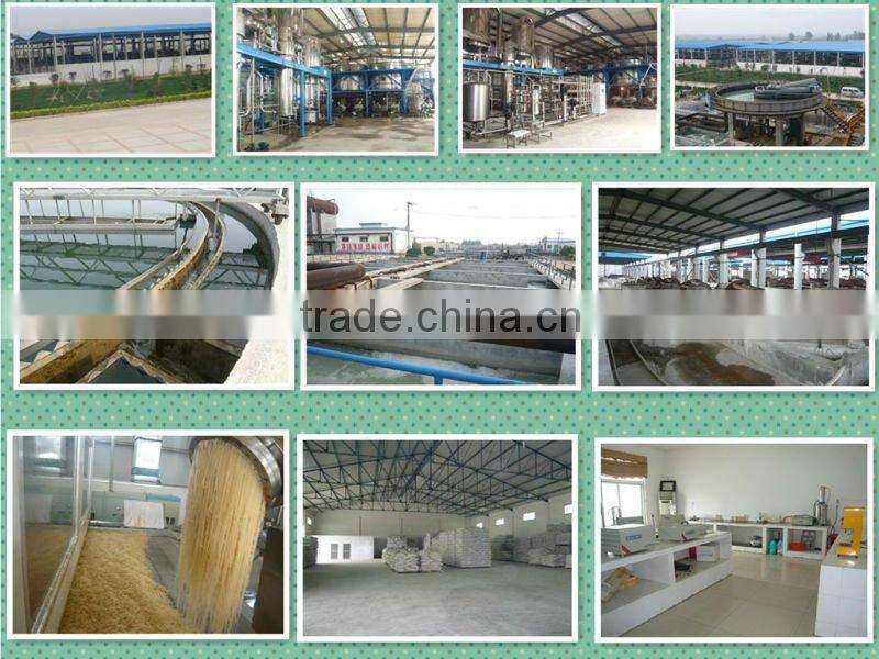 food grade bovine gelatin in china