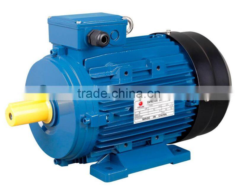 YE3 Three Phase High Efficiency Motor