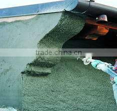 MPS55 Putty Mortar Spraying Pump