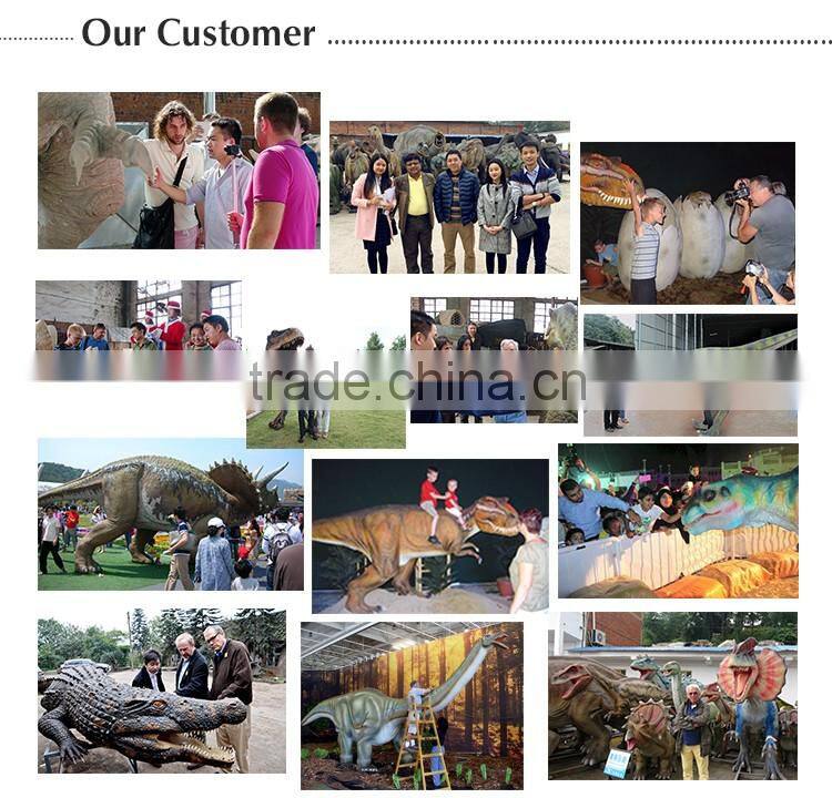 OAV7141 Unearthed Dinosaur Supplier for Display