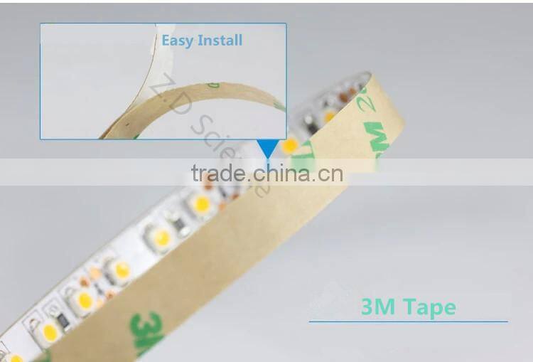 12V Light LED Strip Waterproof Non Waterproof LED Light Swimming Pool Rope Light