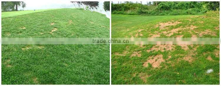 Huminrich Controlled Release Type Nitro Humic Acid