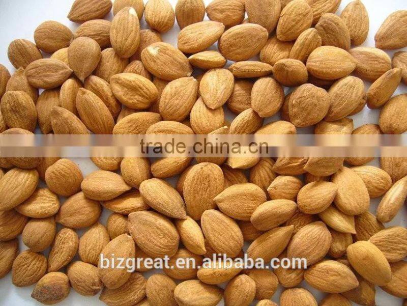 Supply Bulk Sweet Apricot Kernels with Youyi Type