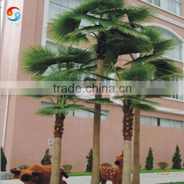 Tropic Palm Tree as decoration indoor or outdoor