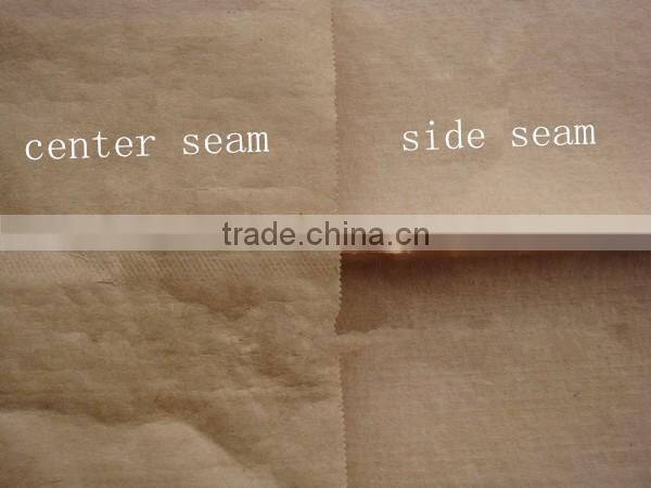 plastic paper bag/cement plastic paper bag/plastic-paper kraft bag