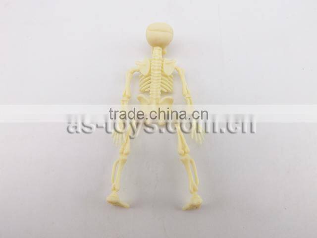 Halloween Small Plastic Toy Skull Model for sale