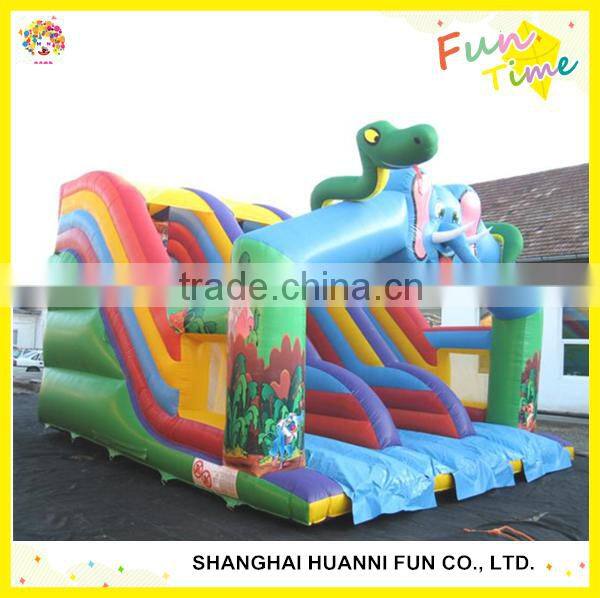Inflatable Bouncer Slide: Dry Bouncy Slide and Wet Water Slide
