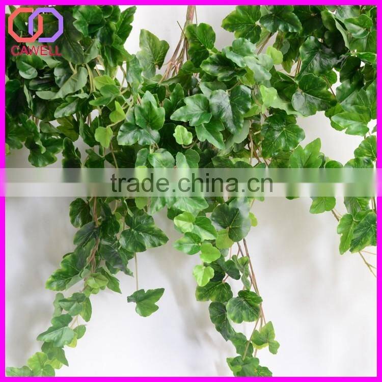 important of ornamental plant
