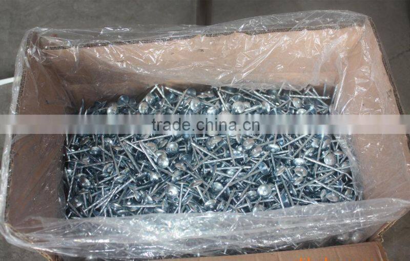 BWG9*2.5'' galvanized umbrella head twisted shank roofing nails