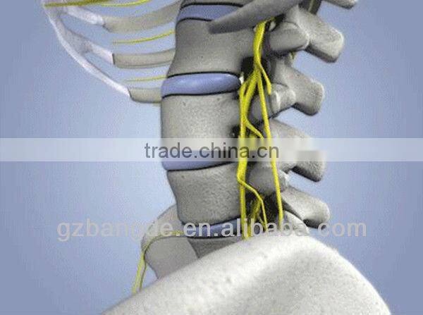 Professional medical therapy chiropractic adjusting instrument massager BD-M005