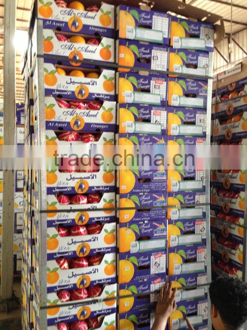 Golden Fresh Citrus Navel And Valencia ORANGE