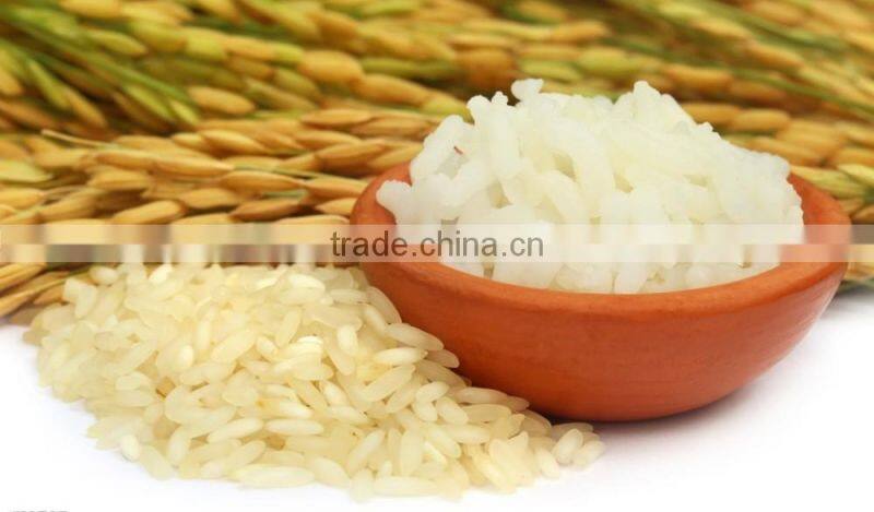 RICE MALT SYRUP SUGARY SYRUP BROWN RICE SYRUP