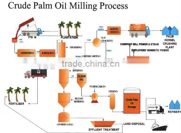 China leading high quality palm oil processing machine | palm oil mill malaysia