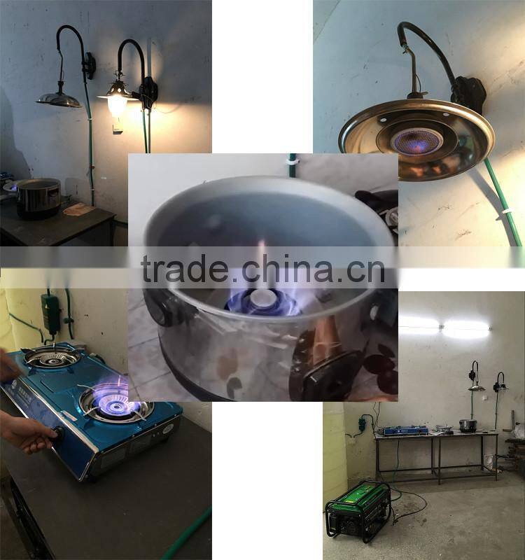 Mini portable assembly biogas system