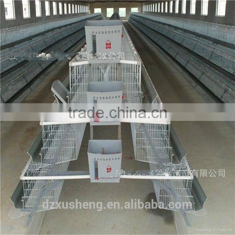 XSC-1 Laying hen cages