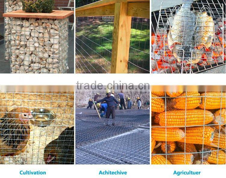 Cheap electro galvanized welded wire mesh from China